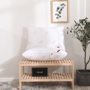 Super feather Pillow